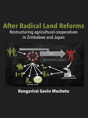 cover image of After Radical Land Reform